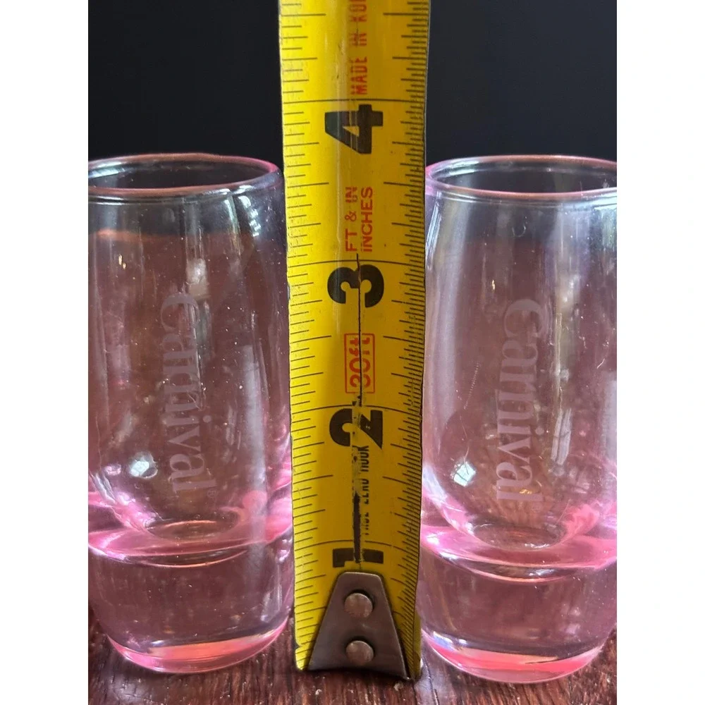 Carnival Cruise Line Pink Souvenir Shot Glasses Set of 2 Etched Logo Barware